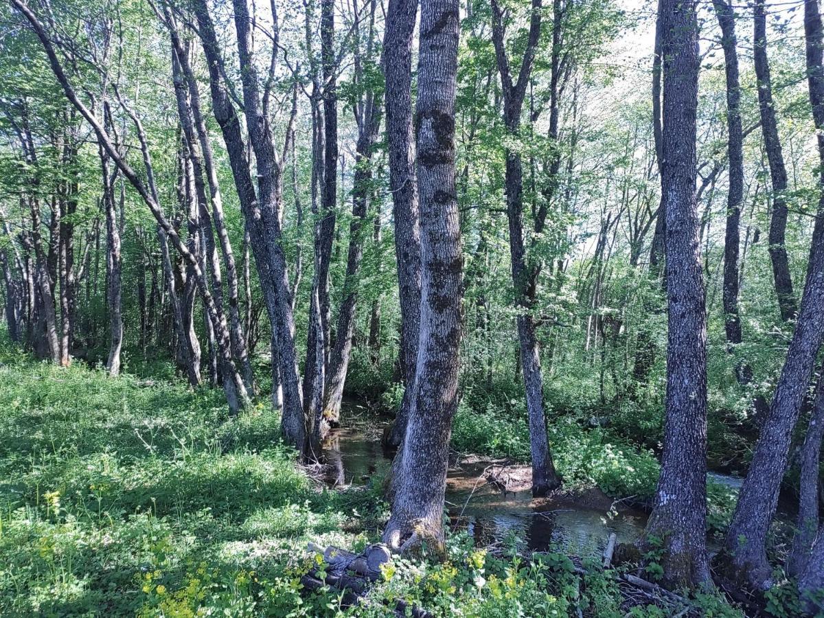 Velebit Lodge Lovinac  외부 사진